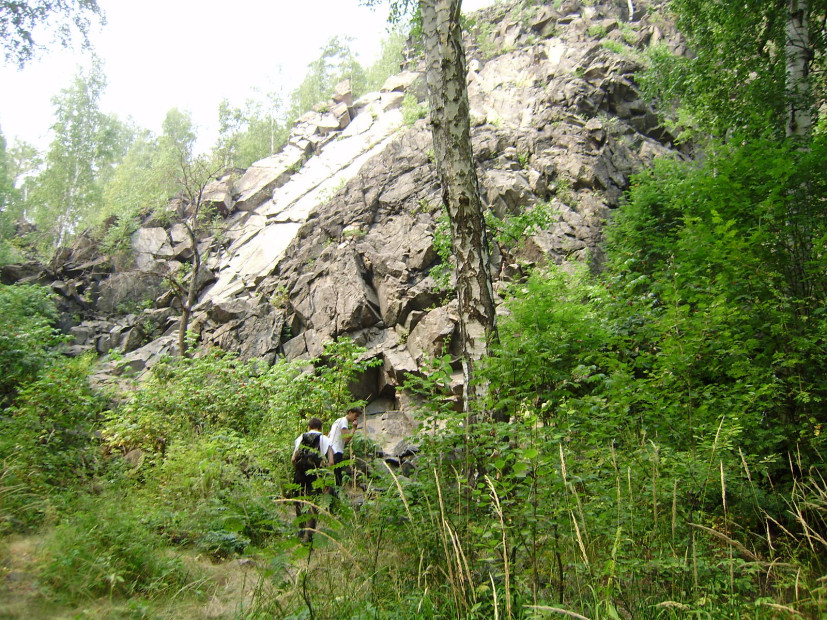 wikimedia_search
