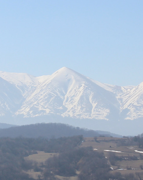 wikimedia_search