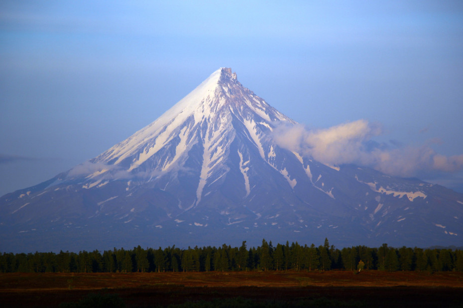 wikimedia_search
