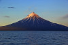 wikimedia_search