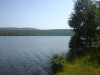 wikimedia_search
