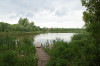 wikimedia_search