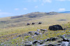 wikimedia_search