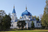 wikimedia_search