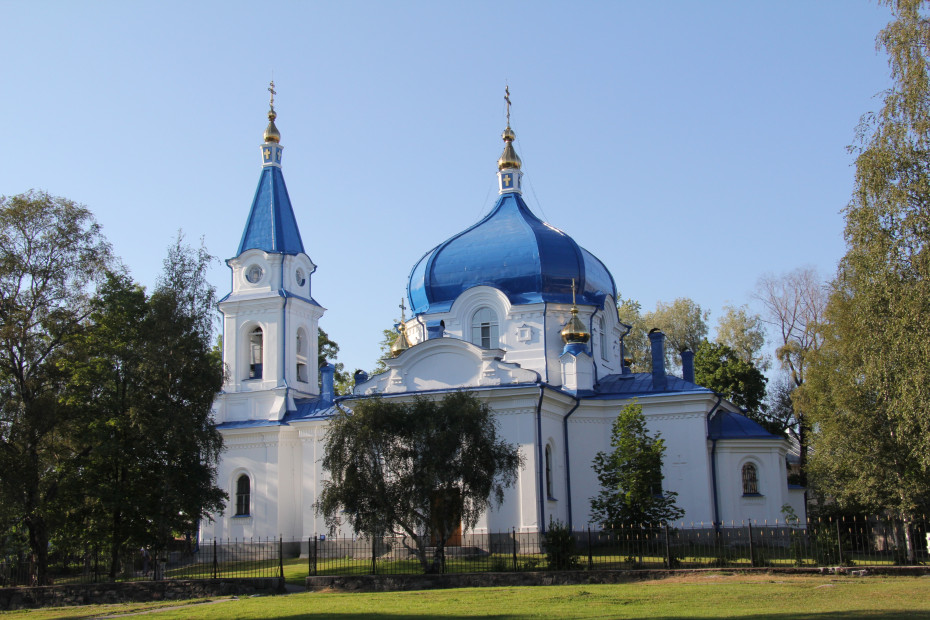 wikimedia_search