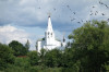 wikimedia_search