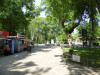 wikimedia_search