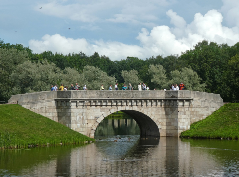 wikimedia_search