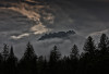 wikimedia_search