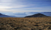 wikimedia_search