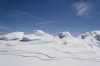 wikimedia_search