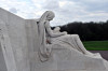 wikimedia_search
