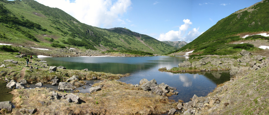 wikimedia_search