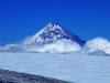 wikimedia_search
