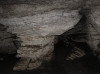 wikimedia_search