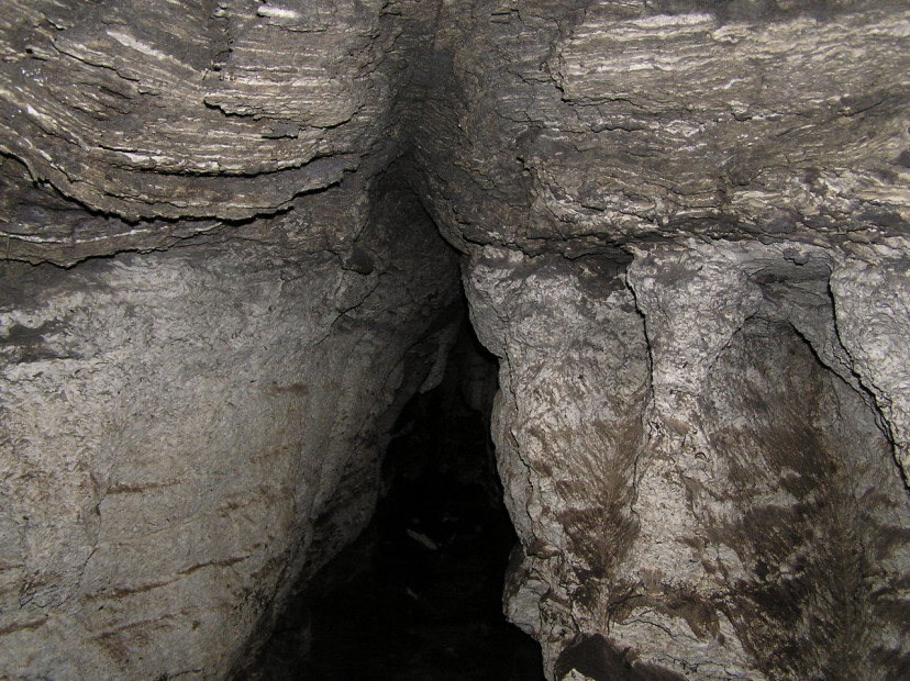wikimedia_search