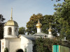 wikimedia_search
