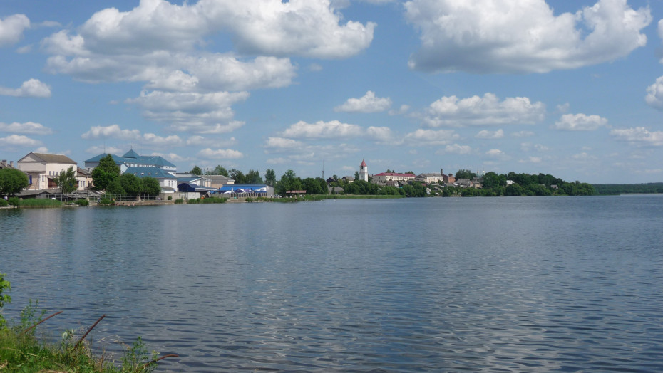 wikimedia_search