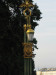 wikimedia_search