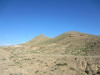 wikimedia_search