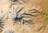 wikimedia_search