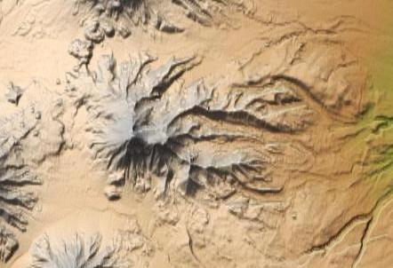 wikimedia_search