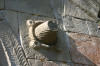 wikimedia_search