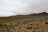 wikimedia_search