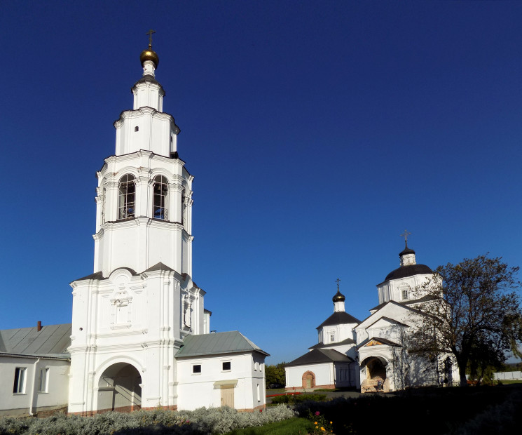wikimedia_search