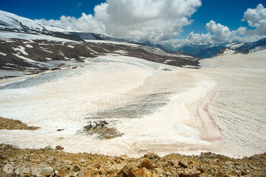 wikimedia_search