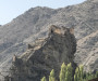 wikimedia_search