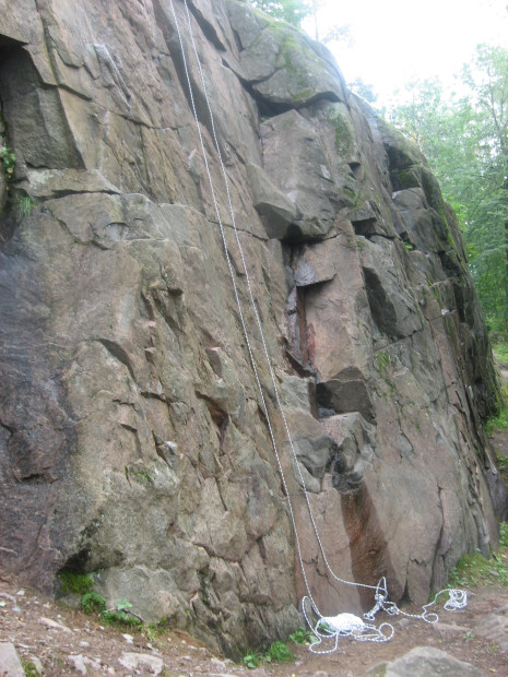 wikimedia_search