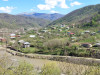 wikimedia_search
