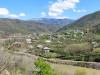 wikimedia_search