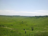 wikimedia_search