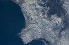 wikimedia_search