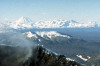wikimedia_search