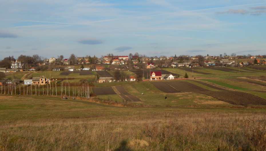 wikimedia_search