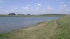 wikimedia_search