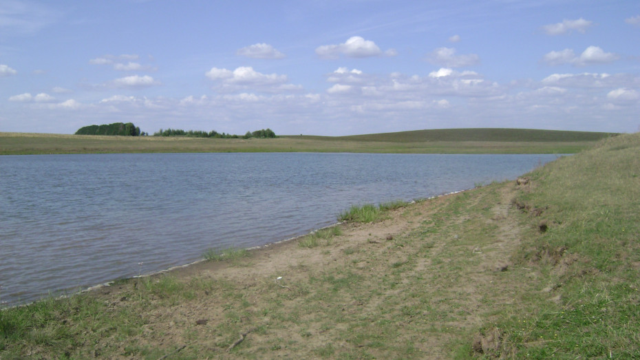 wikimedia_search