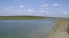 wikimedia_search