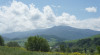 wikimedia_search