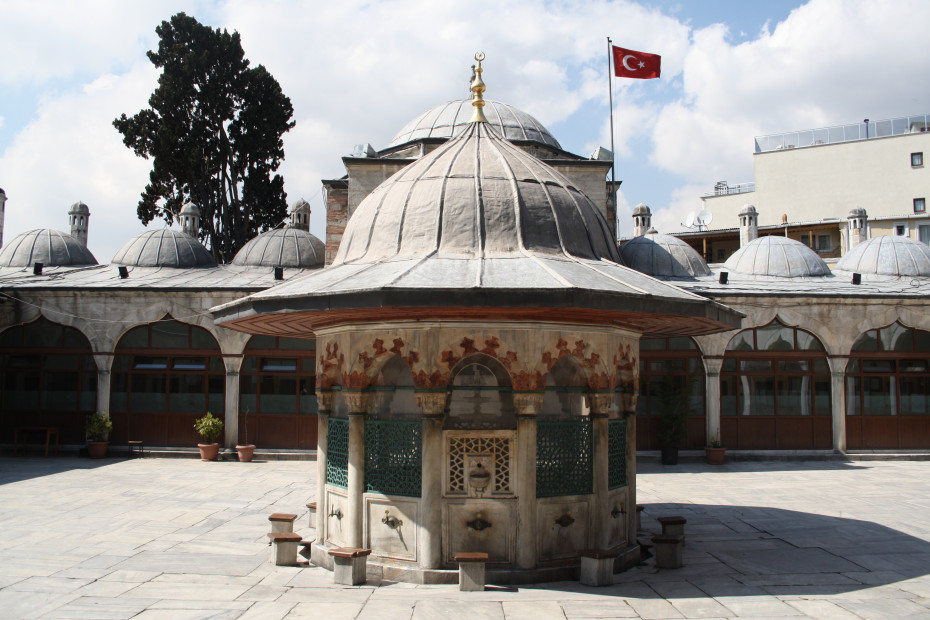 wikimedia_search