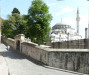 wikimedia_search