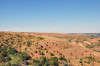 wikimedia_search