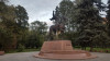 wikimedia_search
