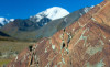 wikimedia_search
