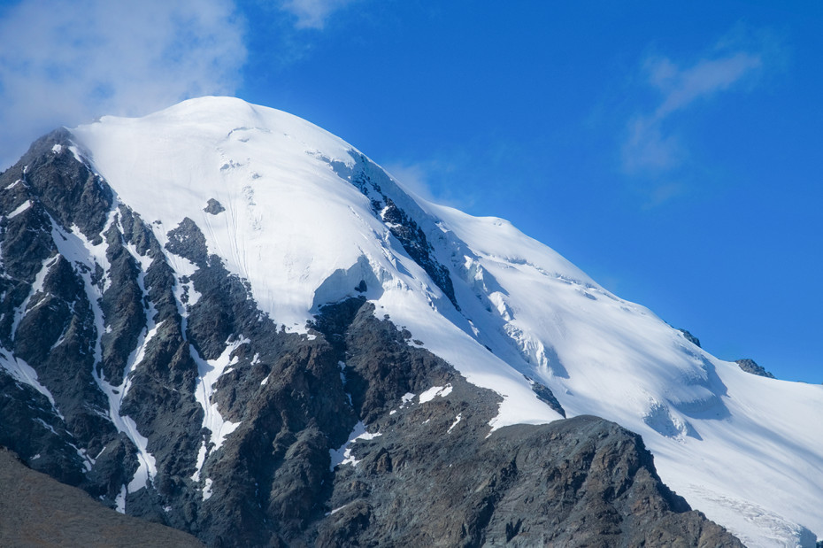 wikimedia_search