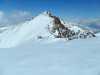 wikimedia_search