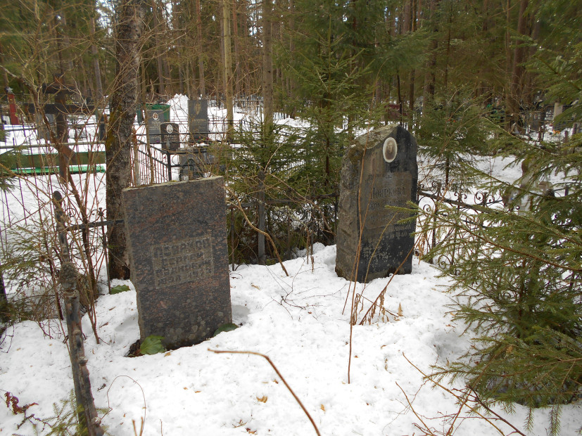 wikimedia_search